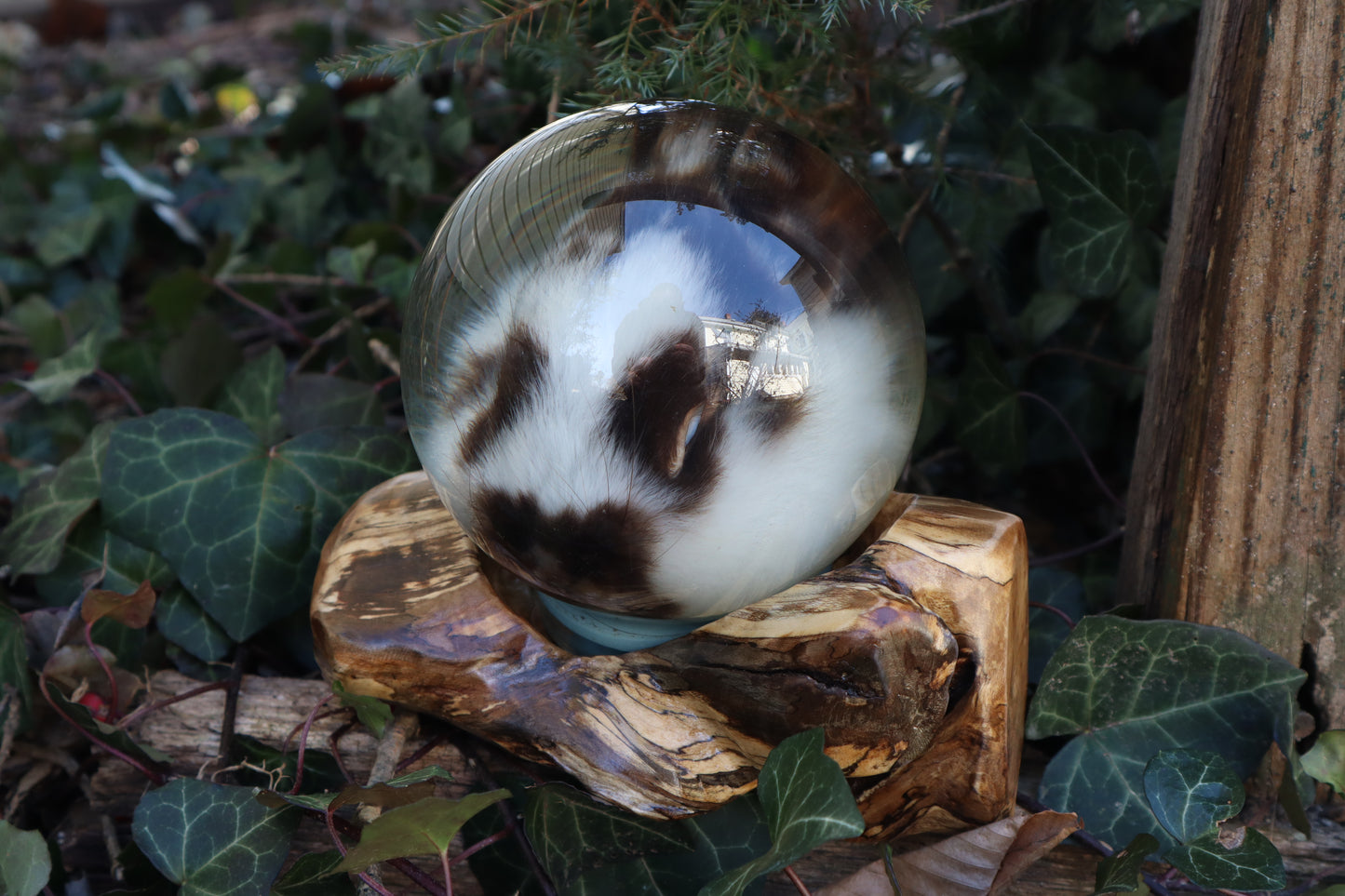 Reserved for Riane - Bunny Crystal Ball