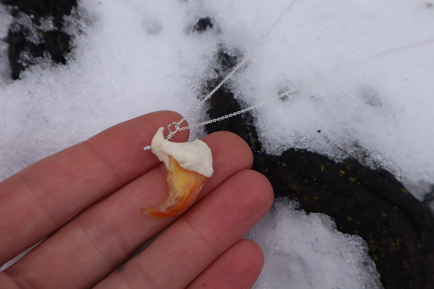 Mountain Lion Claw Necklace