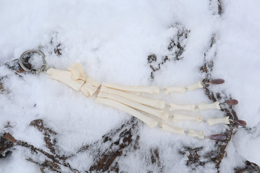 Fluid Wolf Paw Articulation with Chocolate Moonstone "Claws"