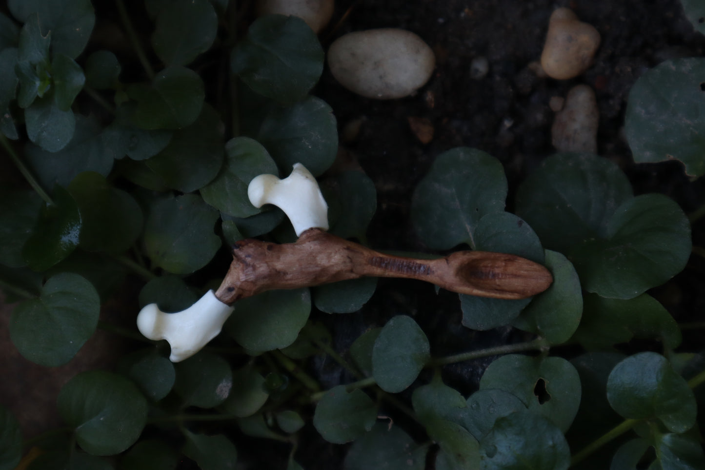 Black Walnut and Pine Marten Femur Offering Spoon