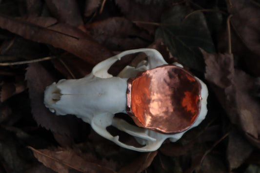 Copper Raccoon Skull Offering Bowl