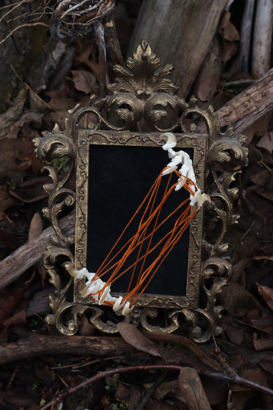 Bobcat's Cradle