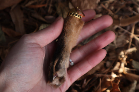 Red Fox Paw Keychain