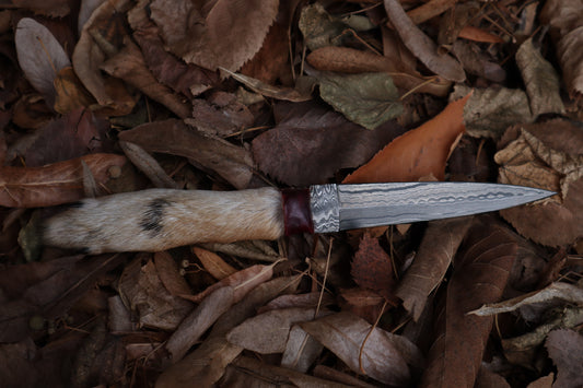 Spotted Damascus Coyote Paw Knife