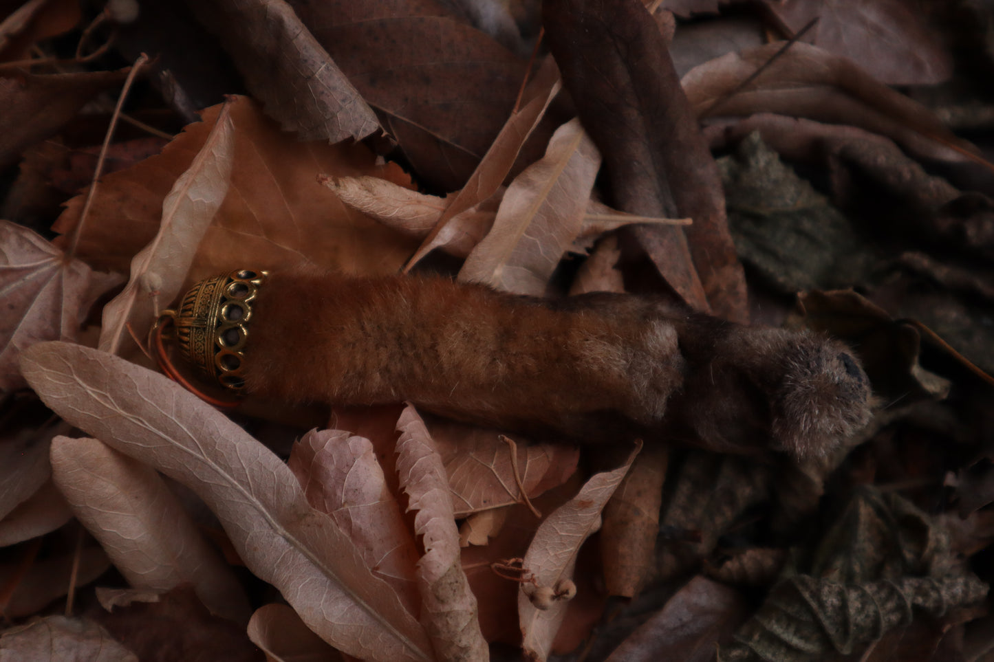 Red Fox Paw Keychain