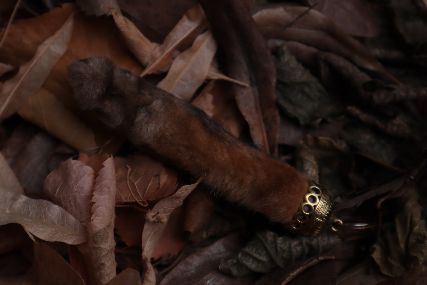 Red Fox Paw Keychain