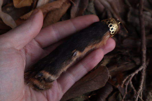 Red Fox Paw Keychain
