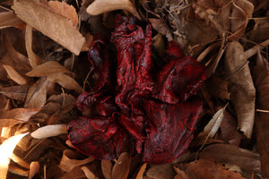 Dry Preserved Wolf Lungs