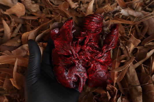 Dry Preserved Wolf Lungs