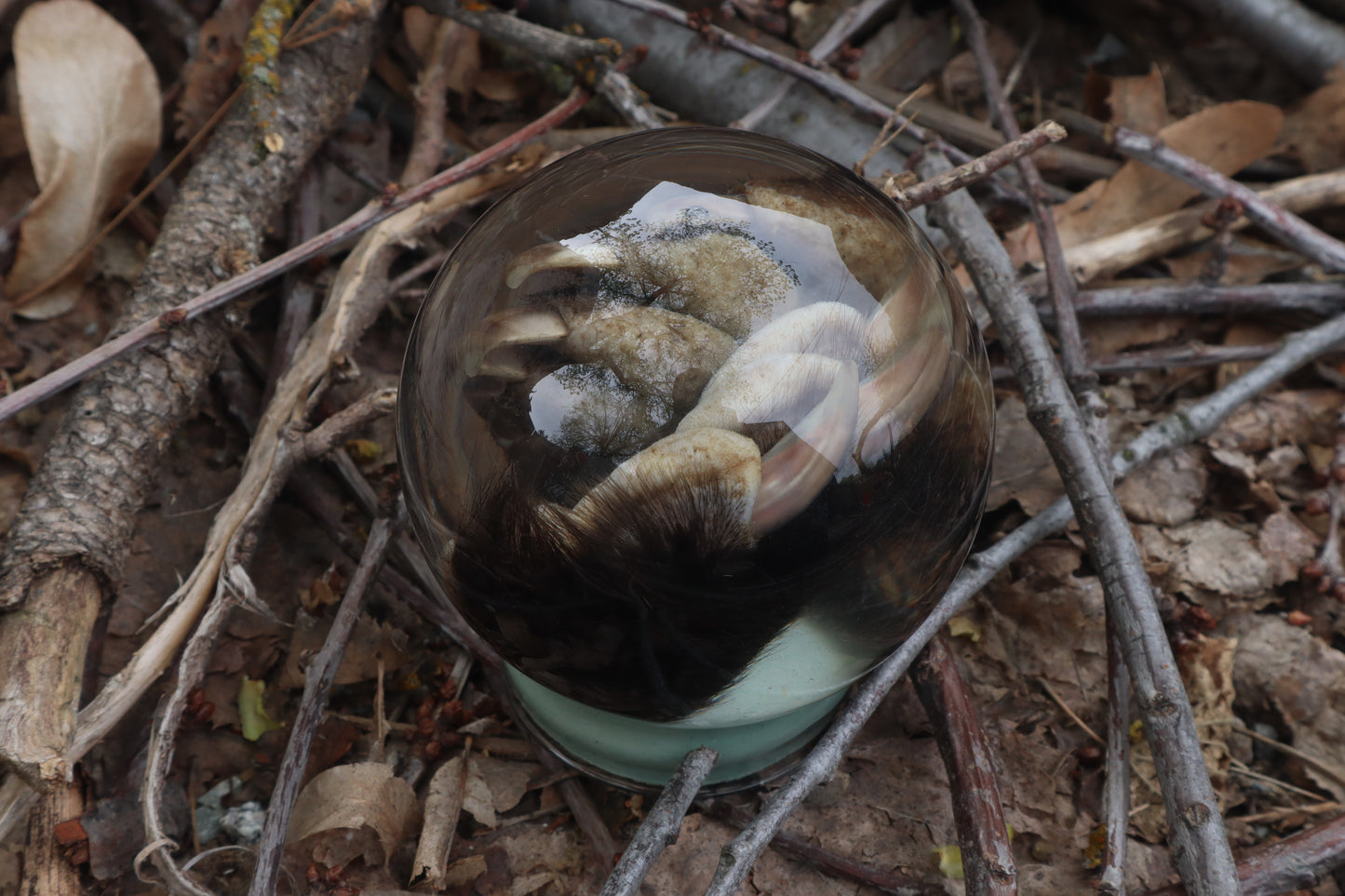 Badger Paw Crystal Ball