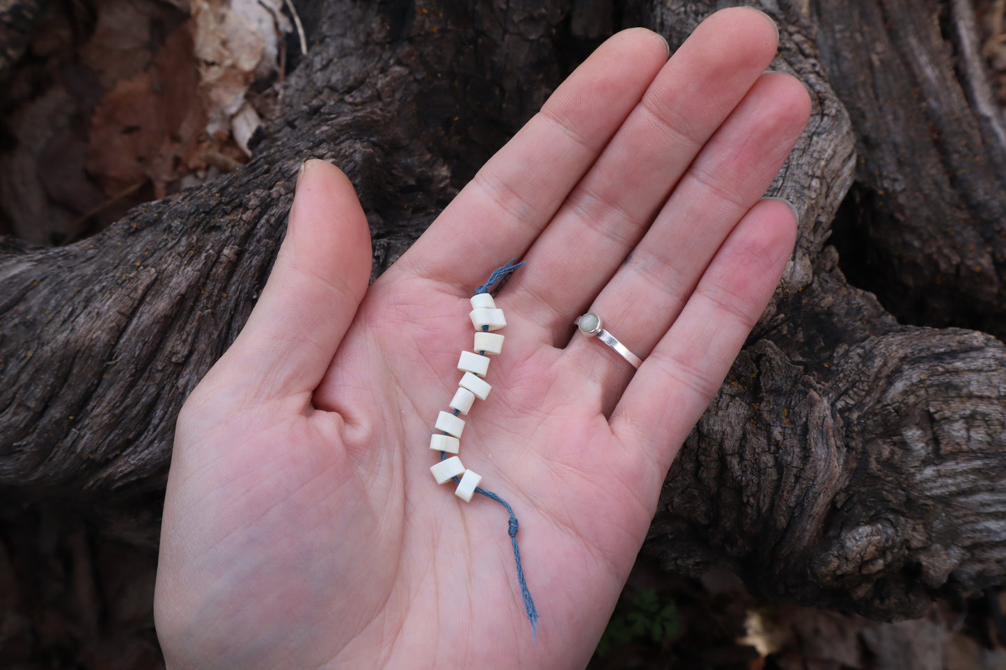 Bobcat Bone Beads