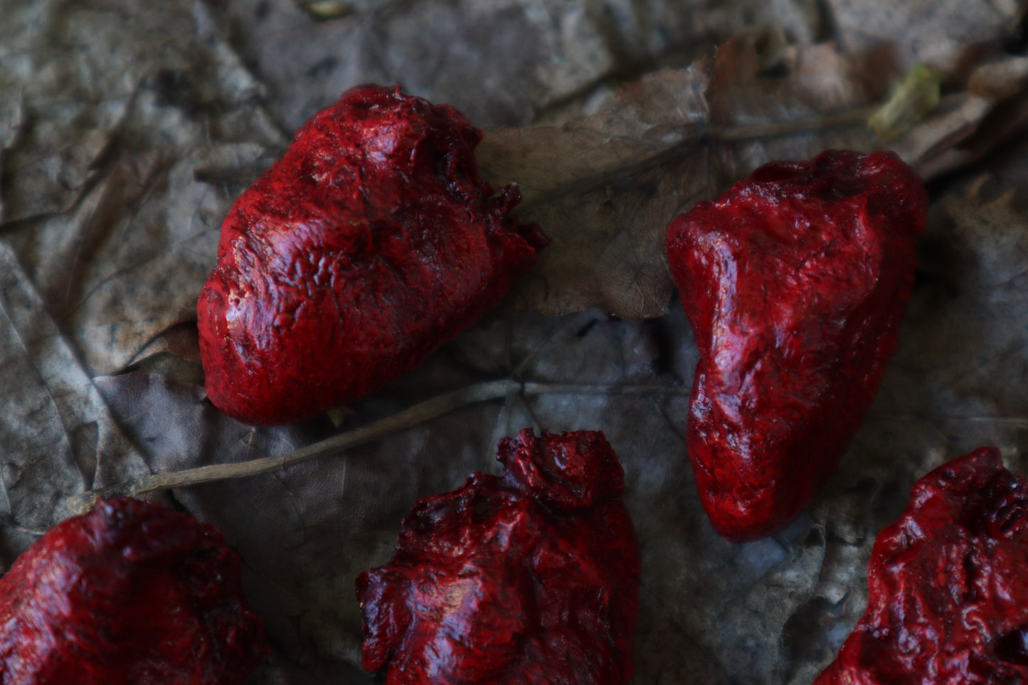 Dry Preserved Chicken Heart