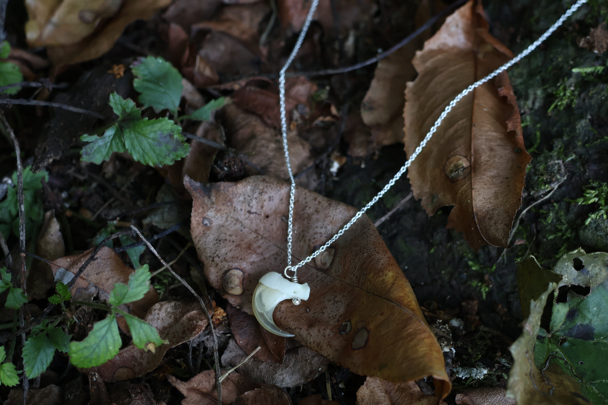 Reserved for Savannah - Bobcat Claw Necklace