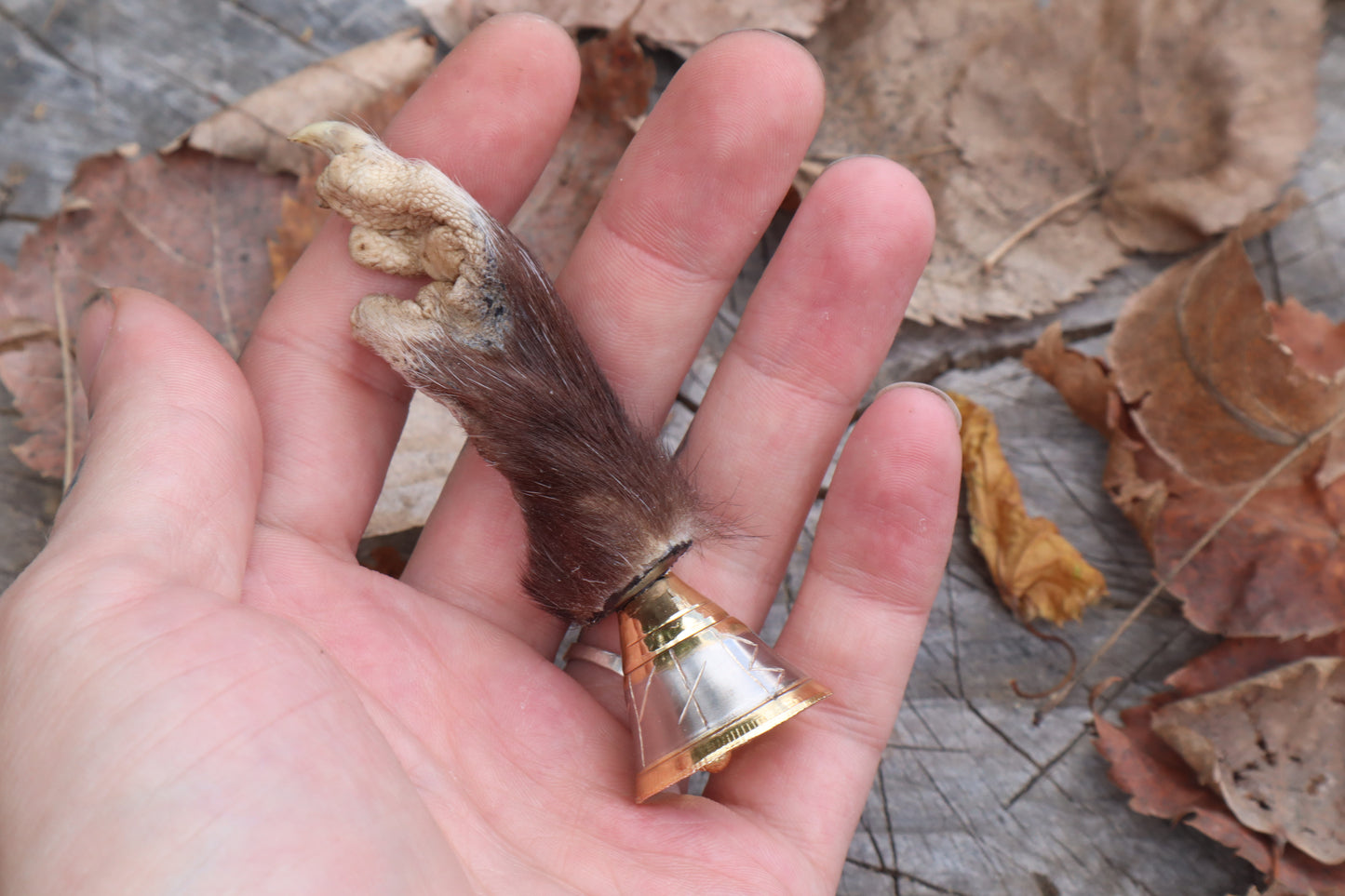 Call of the Aeon - Opossum Paw Bell