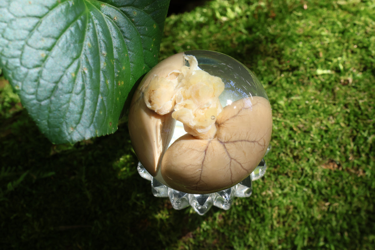 Black Cat Kidney Crystal Ball with Base