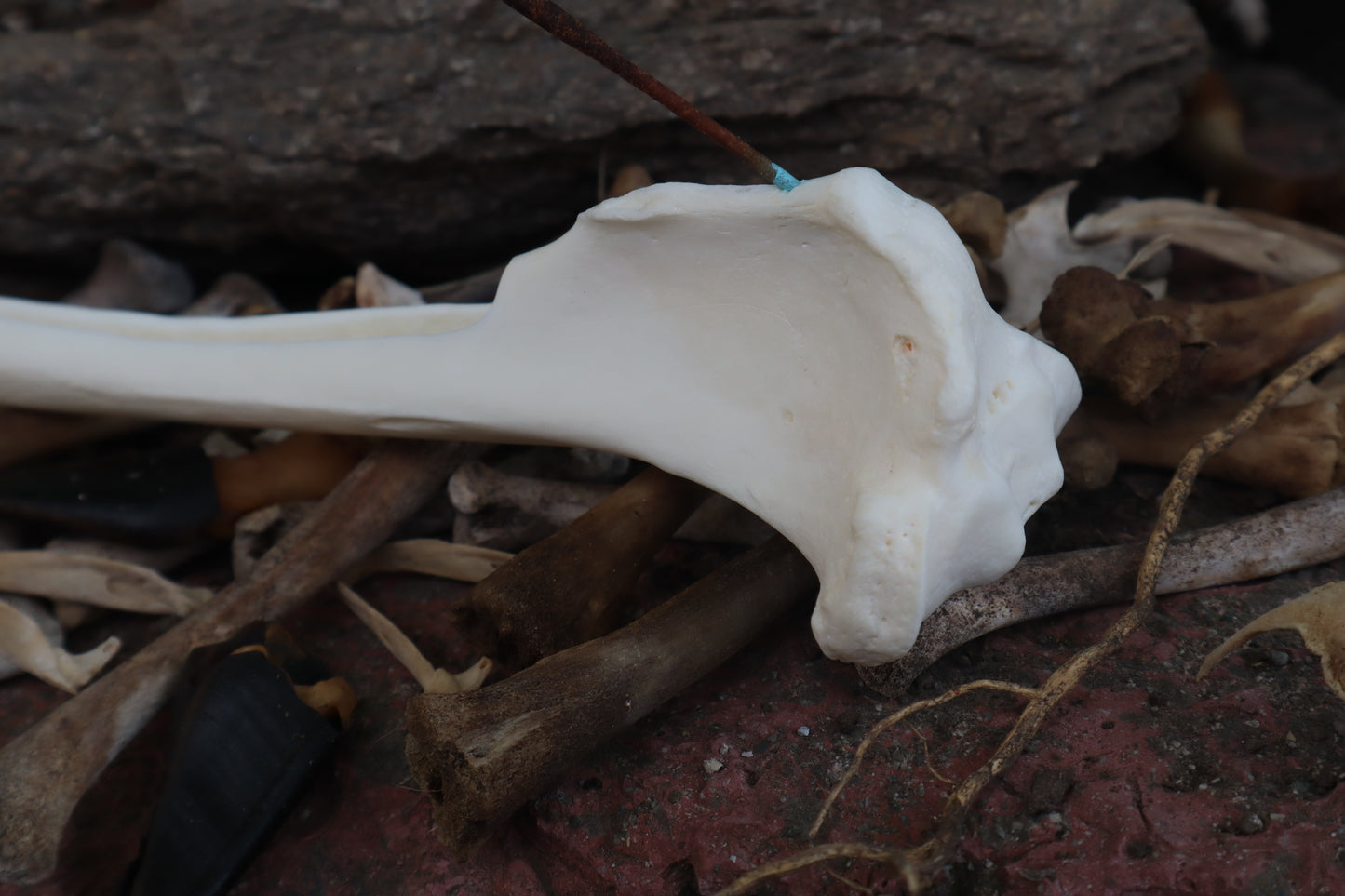 The Night of Time - Wolf Tibia Incense Burner