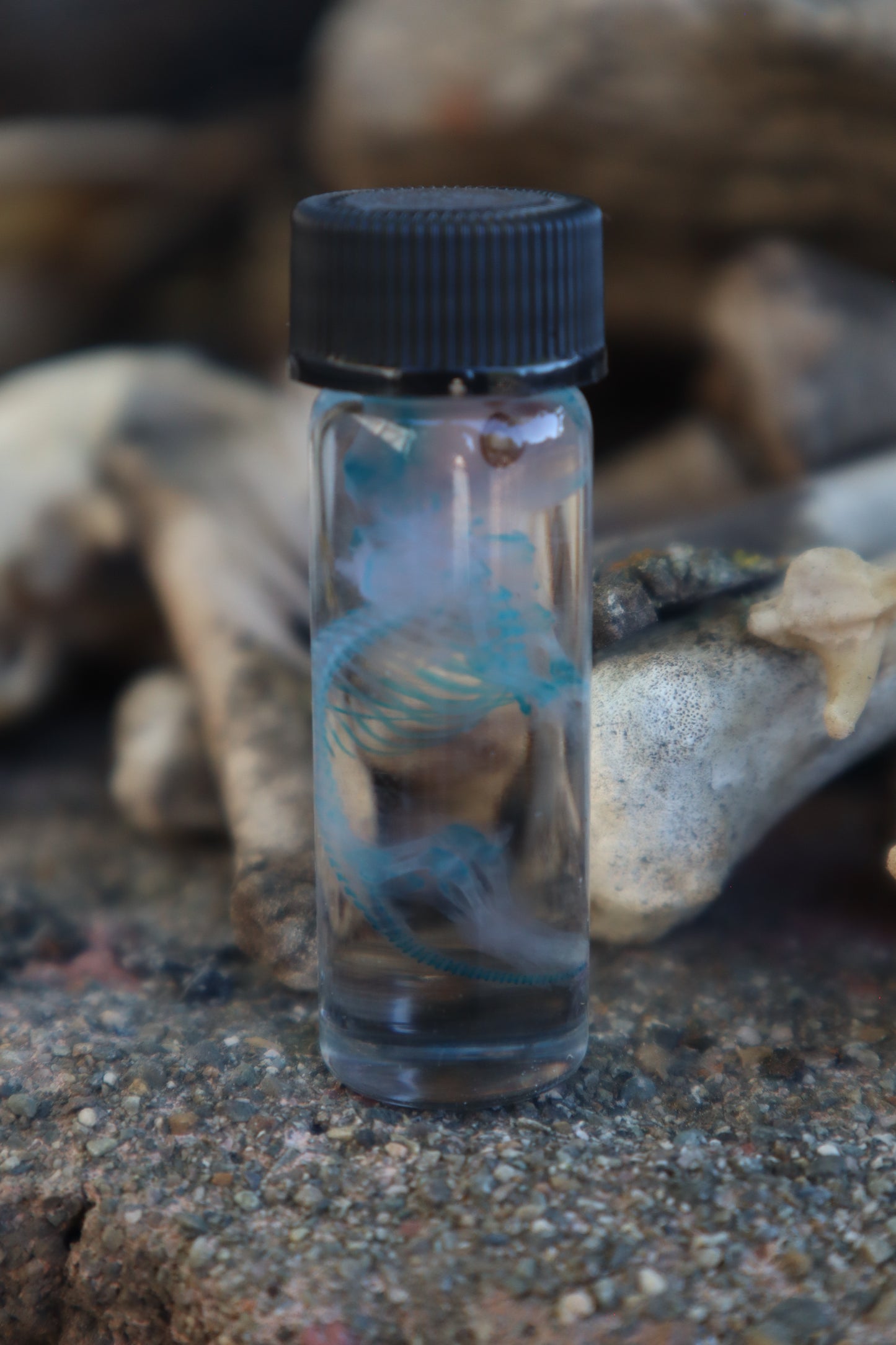 Diaphonized Baby Mouse
