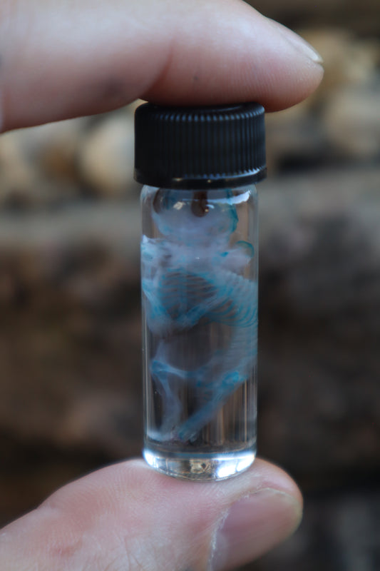 Diaphonized Baby Mouse