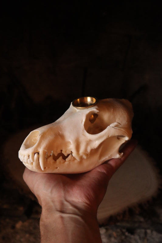 Coyote Skull Candle Holder