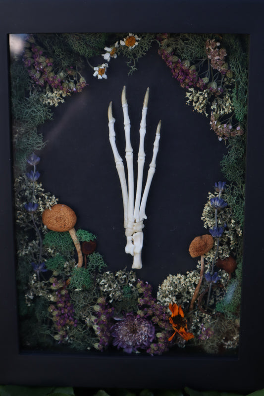 Reserved for Mary - Lucky Rabbit Paw Display