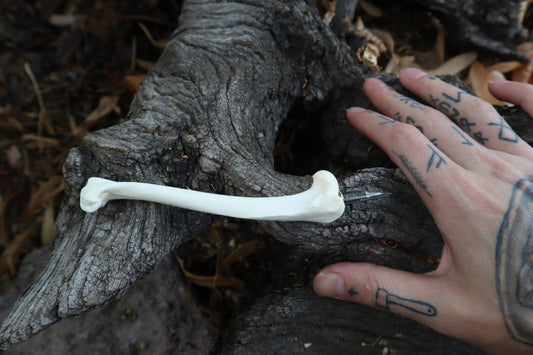 Red Fox Bone Calligraphy Pen