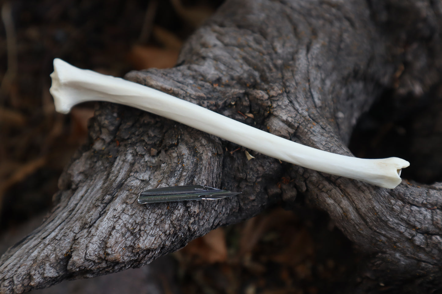 Red Fox Bone Calligraphy Pen