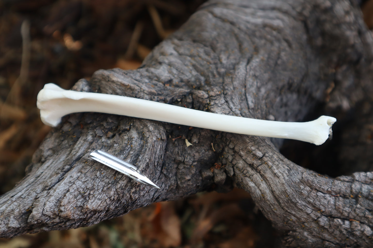 Red Fox Bone Calligraphy Pen