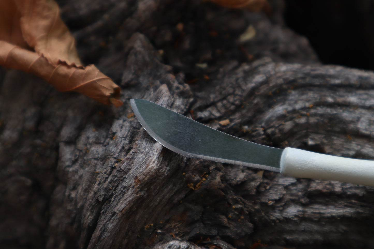 Kitten Femur Knife