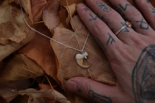 Bobcat Claw Necklace