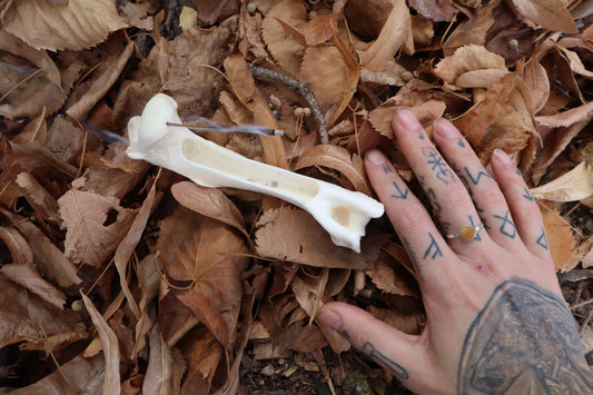 Whitetail Deer Bone Incense Burner