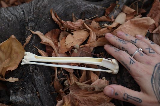 Bobcat Bone Incense Burner