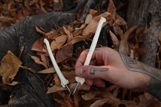 Bobcat Bone Calligraphy Pen