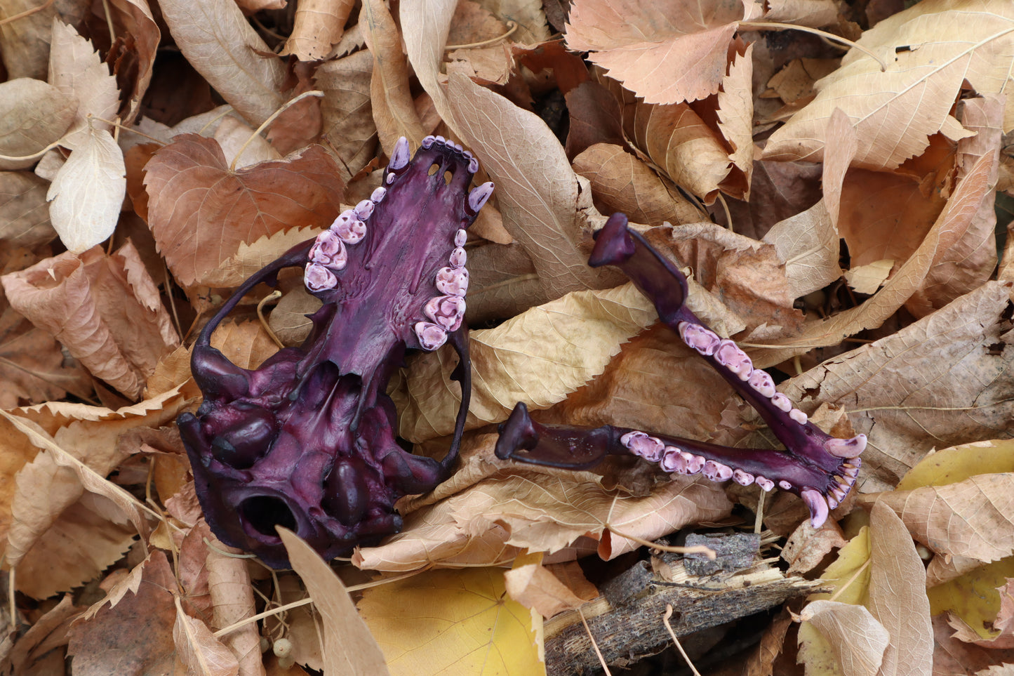 Etheric Violet Raccoon Skull