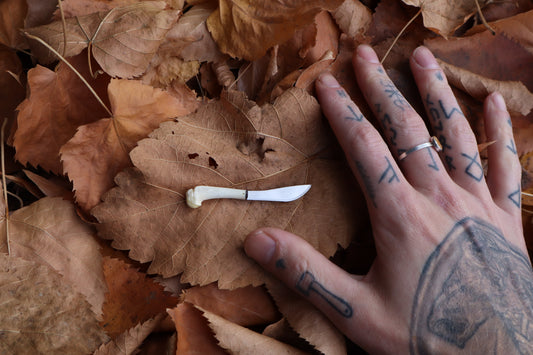 Kitten Humerus Knife