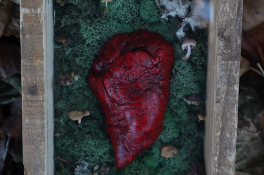 Bisected Whitetail Deer Heart Garden