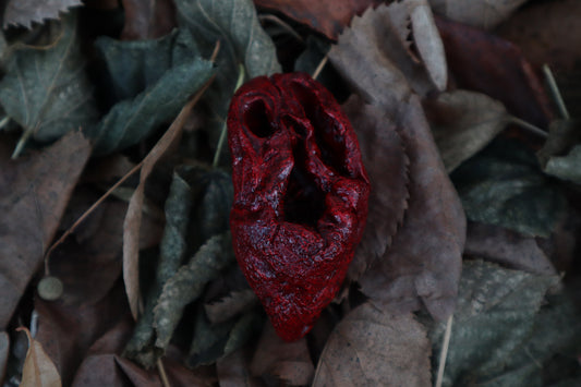 Dry Preserved Lamb Heart