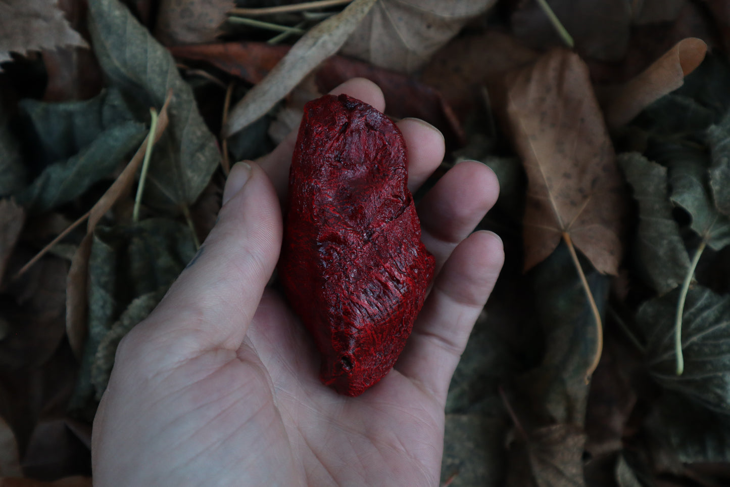 Dry Preserved Lamb Heart