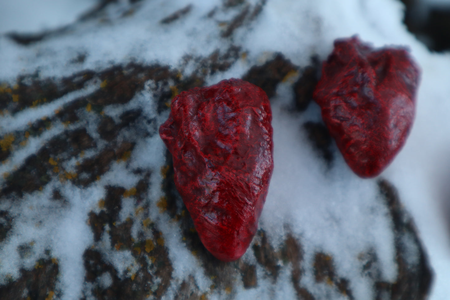 Dry Preserved Chicken Heart