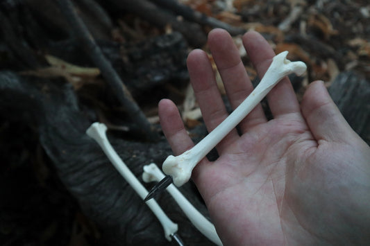 Reserved for Allie - Red Fox Bone Calligraphy Pen