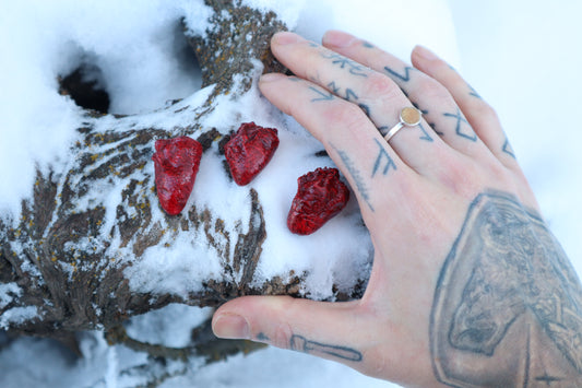 Dry Preserved Chicken Heart