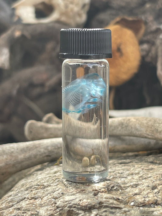 Diaphonized Fetal Mouse