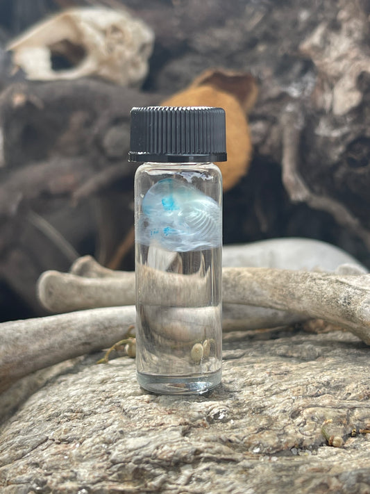 Diaphonized Fetal Mouse