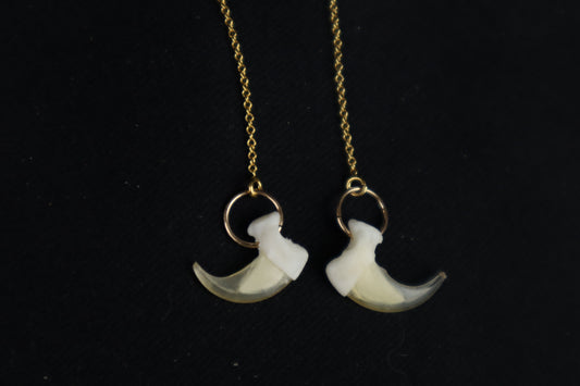 Cat Claw Earrings - 14k Yellow Gold