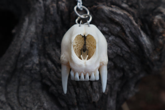 Raccoon Snout Necklace