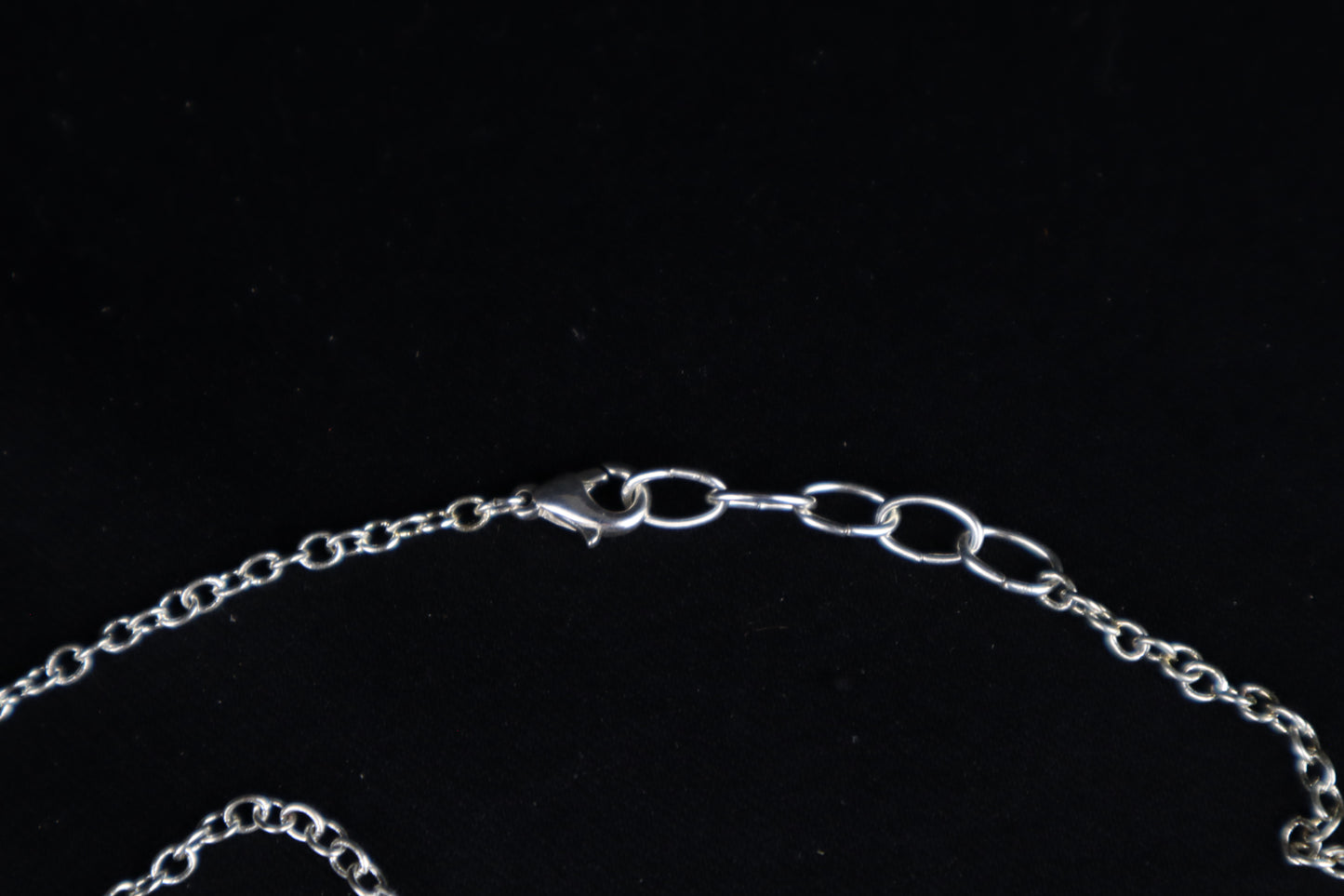 Raccoon Snout Necklace