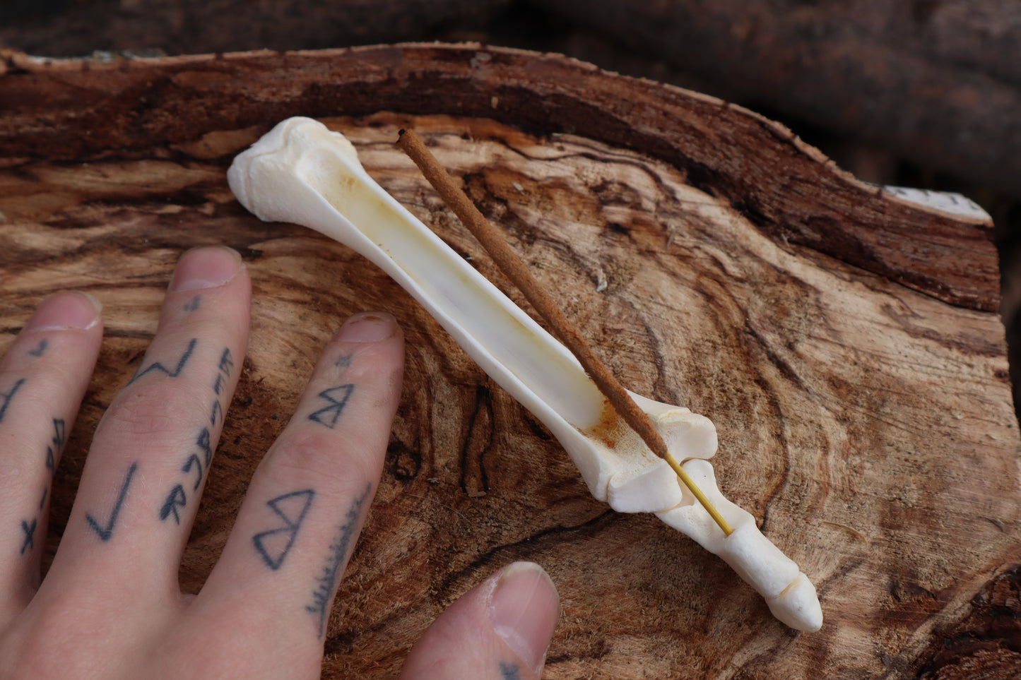 Whitetail Fawn Bone Incense Holder