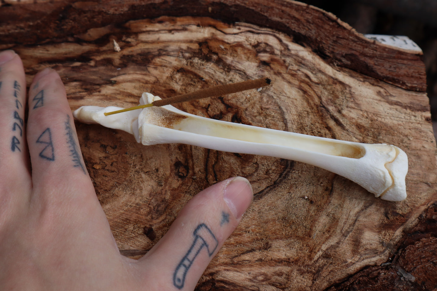 Whitetail Fawn Bone Incense Holder