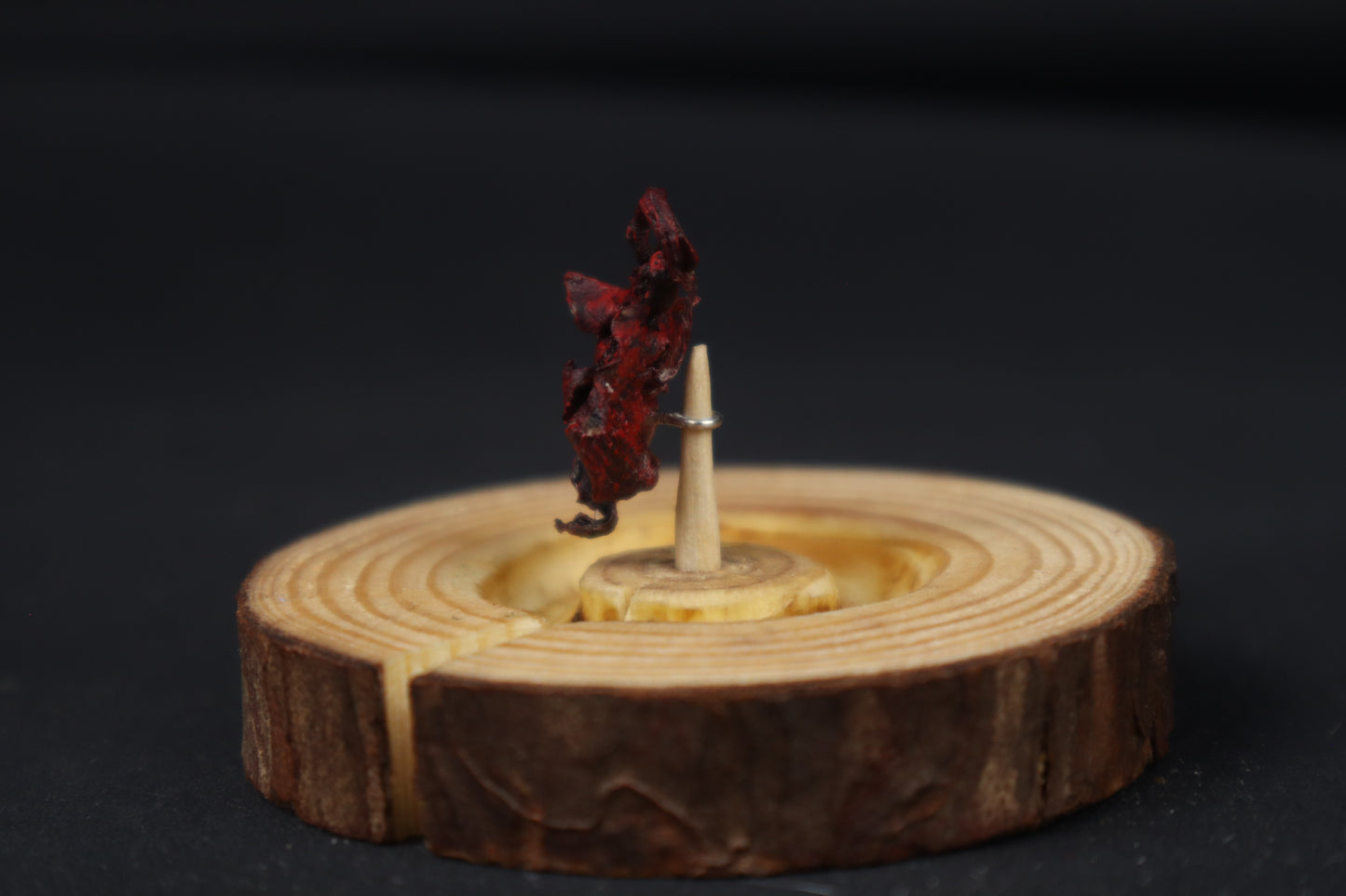 Dry Preserved Red Fox Kit Lungs in Glass Dome