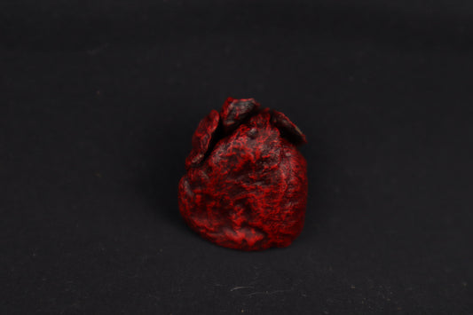 Dry Preserved Kitten Heart