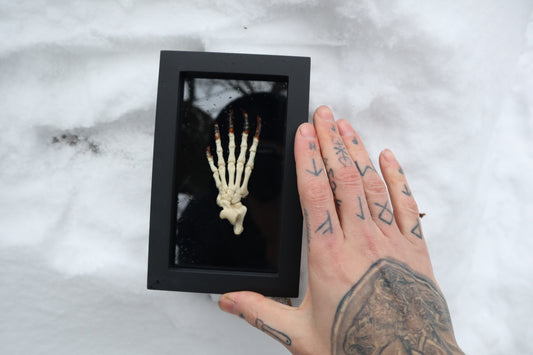 Porcupine Paw Articulation